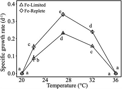 Warming Iron-Limited Oceans Enhance Nitrogen Fixation and Drive Biogeographic Specialization of the Globally Important Cyanobacterium Crocosphaera